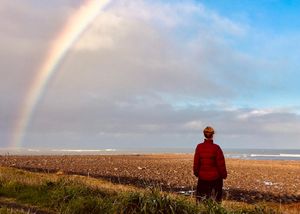 Three grounding rituals